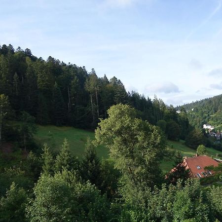 Apartamento Zum Schwalbennest Todtmoos Exterior foto