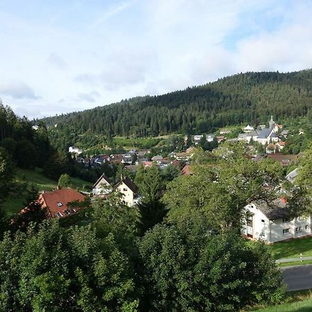 Apartamento Zum Schwalbennest Todtmoos Exterior foto