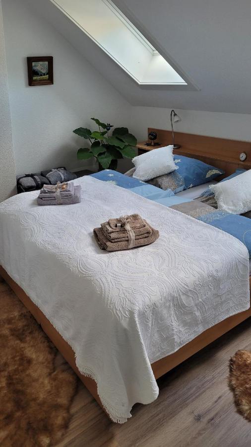 Apartamento Zum Schwalbennest Todtmoos Exterior foto