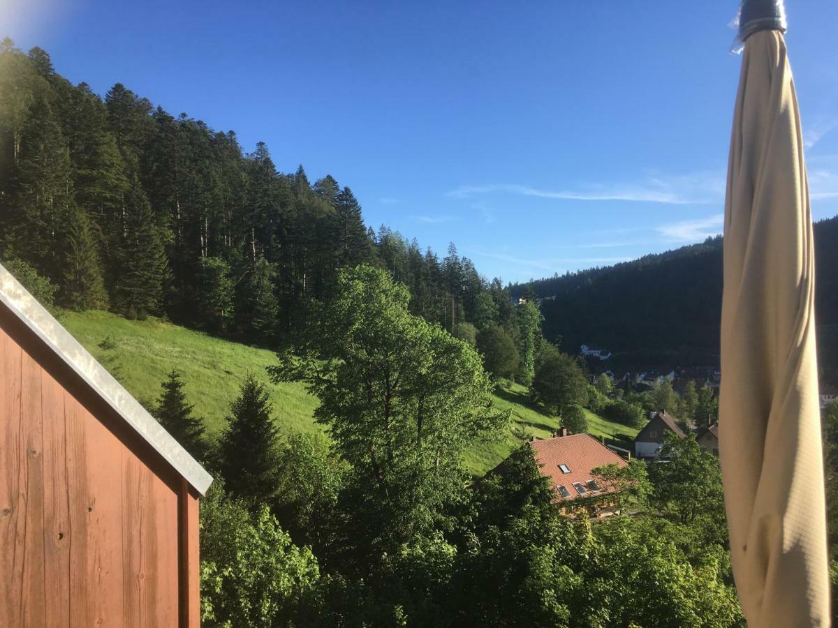 Apartamento Zum Schwalbennest Todtmoos Exterior foto